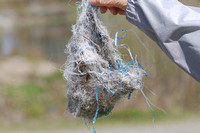 Plastic bird nests Apr 15 2019 Jackman Flats  642